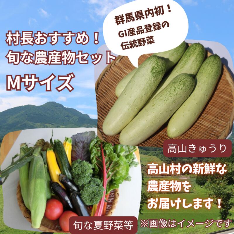【ふるさと納税】村長おすすめ！！旬の農産物セット（Mサイズ）