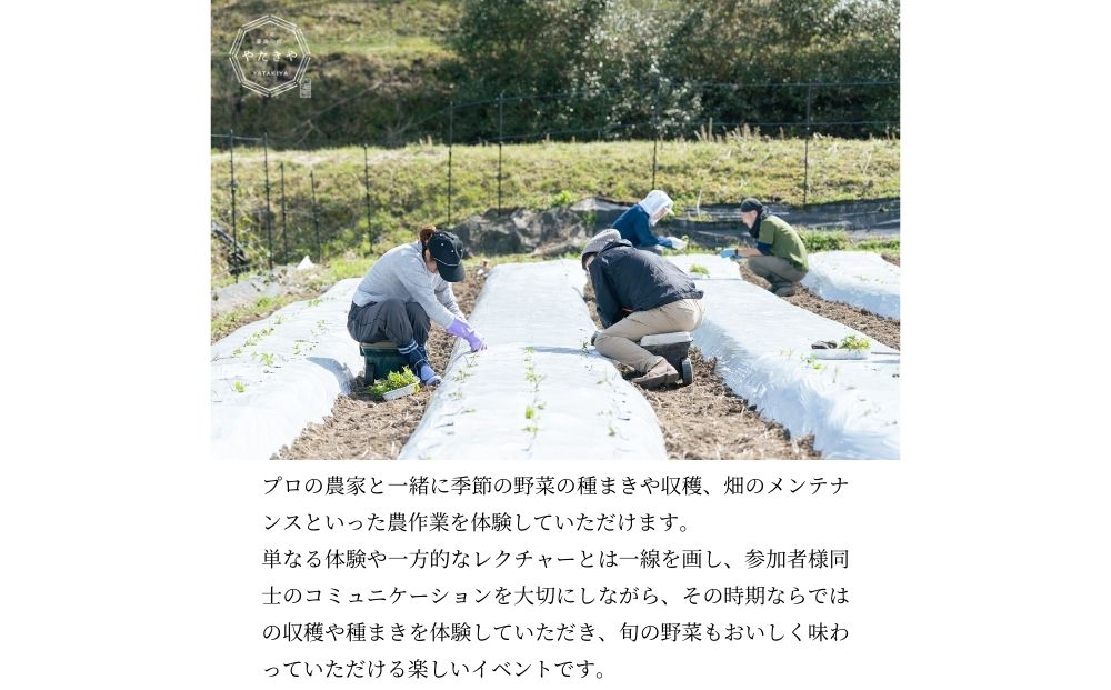 『旬刻旬菜』参加チケット（ペアチケット）家庭菜園のお悩みをプロ農家に相談できるランチ付き農業体験 ／ なつかしいみらいサービス 送料無料 チケット 無農薬栽培 農業体験 家庭菜園  ふるさと納税 奈良