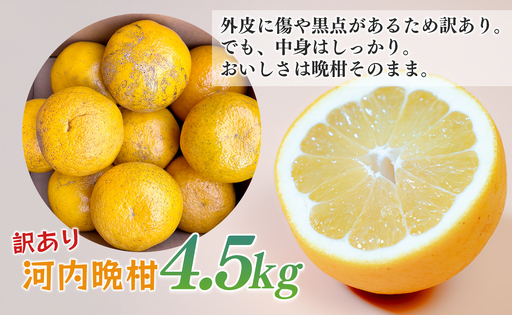 【訳あり】 河内晩柑 4.5kg （M～5L） ばんかん 晩柑 夏文旦 家庭用 みかん 柑橘