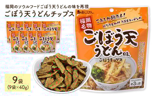 ＜容量が選べる＞ ごぼう天うどんチップス (9袋×40g) 【man313】【味源】