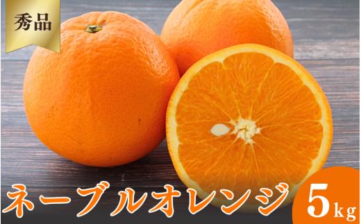 
                  ＜先行予約＞ネーブルオレンジ【秀品】5kg ※2027年3月上旬～4月中旬頃に順次発送予定【期間限定・数量限定】 / 柑橘 季節限定 お取り寄せ 産地直送 贈答品 ギフト 果物 フルーツ 田辺市 和歌山県【ymh005】
                