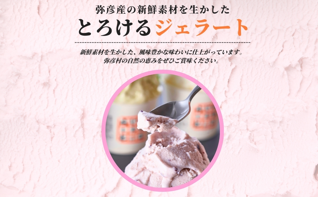 絞りたて牛乳で製造した『やひこジェラート』16個 酒粕 いちご 巨峰 枝豆