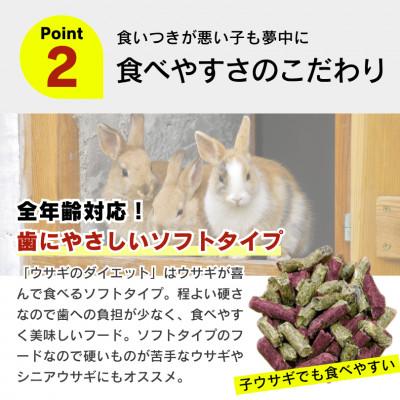 ふるさと納税 久留米市 ウサギのダイエット 毛玉ケア ワイルドベリー 3kg×4袋(久留米市) |  | 02