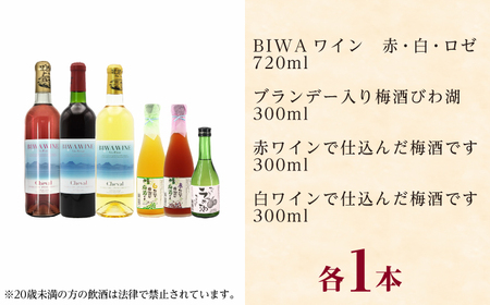 BIWA梅酒セット BIAC012 梅酒