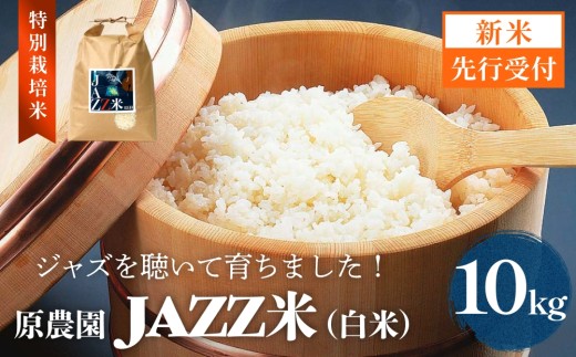 【令和8年産米先行受付】原農園 JAZZ米 白米 10kg にこまる 米 お米 こめ コメ ご飯  ニコマル 常温 大分県 大分 玖珠町 玖珠