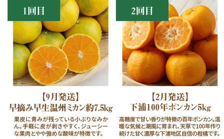 S040-017A_【定期便5回】厳選！天草 下浦地区の農家が愛情込めて育てた柑橘5種〈先行予約〉 / ポンカン 不知火 晩柑 柑橘 みかん フルーツ