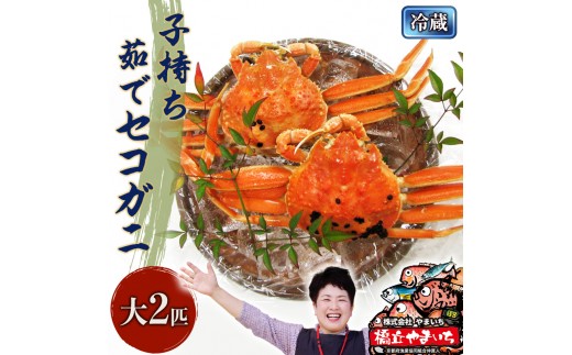 
                  国産 子持ち 茹で セコガニ 大サイズ 2杯セット(冷蔵) カニ 蟹 かに  [№5716-0173]
                