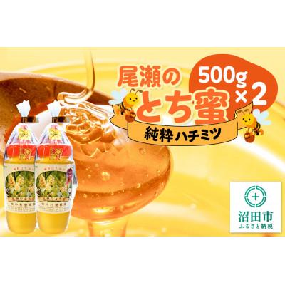 ふるさと納税 沼田市 尾瀬のとち蜜 500g×2本 計1kg 中村養蜂園