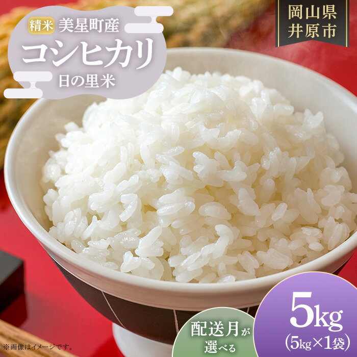 【ふるさと納税】米 精米 お米 ライス ご飯 御飯 ごはん 5kg 5kg×1袋 2025年産 コシヒカリ こしひかり 産地直送 選べる 配送月 美星町産 コシヒカリ 日の里米 精米 5kg×1袋