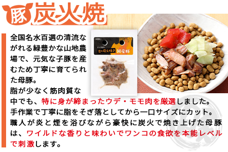 ＜愛犬用 ドットわん 炎の炭火焼き 牛豚鶏セット＞翌月末迄に順次出荷【a0638_pb】