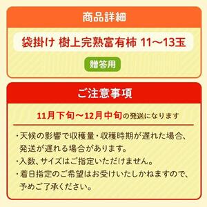 ◆先行予約◆［本場九度山町特産］富有柿の最高級ブランド「（袋掛け）樹上完熟富有柿」＜贈答用／赤秀＞11～13玉入り［2025年11月下旬以降発送］［MG5］柿 富有柿 贈答 先行予約 高級品