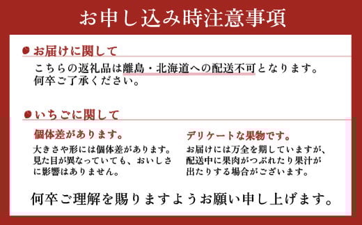 【先行予約】とちあいか 2箱 1.16kg（1箱(2パック入)×2） いちご 大粒 | ギフト 贈答 栃木県 宇都宮市 果物 フルーツ 苺 イチゴ 人気　※2025年1月上旬～3月上旬頃に順次発送予定