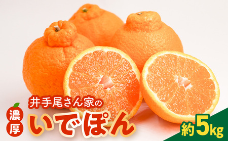S086-002A_井手尾さん家の濃厚いでぽん 不知火 約5kg 柑橘〈先行予約〉 / 不知火 柑橘 みかん フルーツ