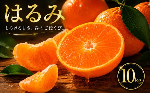 【選ぶならこれ】 ぷちぷち食感 【はるみ】 10kg 愛媛県産 【2027年2月中旬頃から順次発送】 | みかん ミカン mikan 蜜柑 訳ありフルーツ 柑橘 果物 おすすめ お勧め お取り寄せ ギフト 愛媛県 松山市