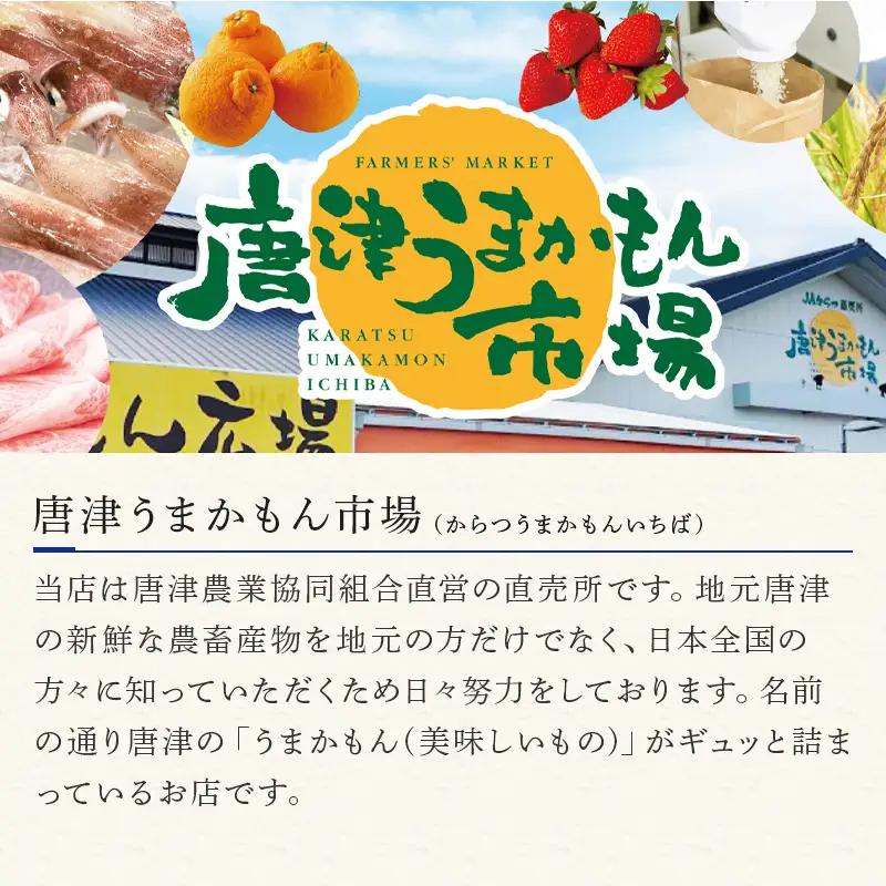 佐賀産和牛ロースステーキ 約200g×2(合計400g) ステーキ