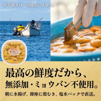 ふるさと納税 利尻町 【2026年発送受付】利尻島産 天然塩水生うに100g 利尻昆布育ちの旨みウニ(100g×1) |  | 02