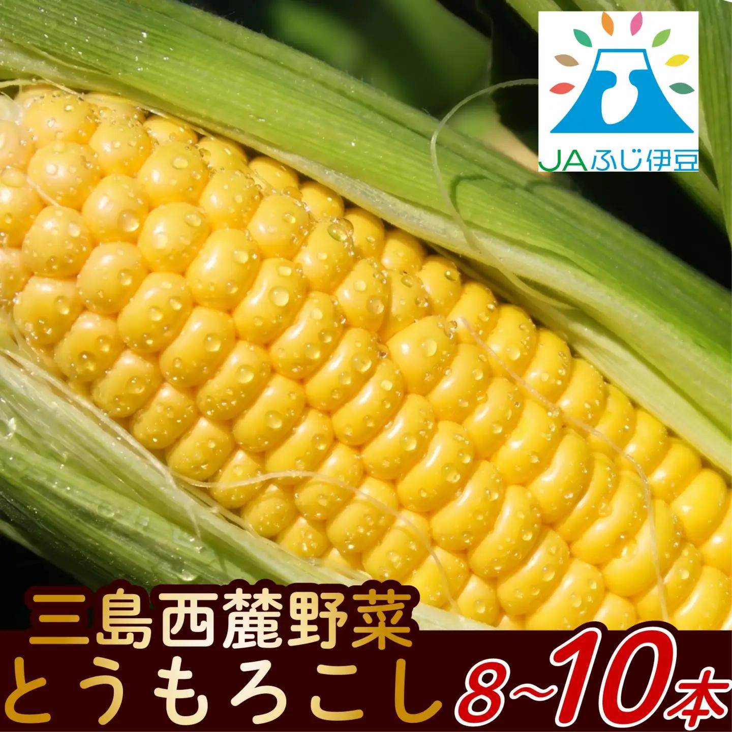 三島 とうもろこし ゴールドラッシュ 8本～10本 とうもろこし