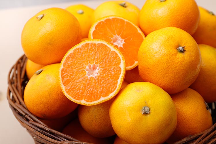 ＼光センサー選別／極 有田みかんプレミアム 約3.5kg【光センサー 高糖度選別品】2S～Mの小玉サイズ 有機質肥料100% | 光センサー選別 温州みかん みかん 高糖度 柑橘 果物 フルーツ 甘い