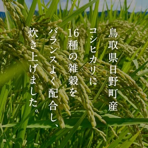 【予約受付中】【10月中旬以降発送】【お試し】十六雑穀ごはん 160g×12個 パックご飯 パックごはん 雑穀 雑穀パックごはん 玄米 コシヒカリ こしひかり おこめのみかた 電子レンジ レトルト 鳥