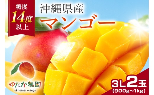 【 先行予約 2026年 発送】ゆたか農園　糖度14度以上！沖縄県産マンゴー 3L 2玉 アップルマンゴー アーウィンマンゴー 国産 完熟マンゴー 果物 くだもの フルーツ 完熟 夏 旬 特産品 沖縄 お取り寄せ 産地直送 農家直送 甘い 濃厚 糸満市