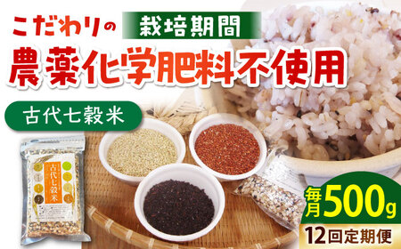 【全12回定期便】古代七穀米500g HAG014 七穀米 雑穀 定期便