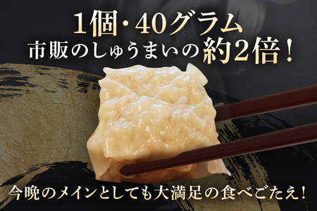 シュウマイ 笑顔大吉ポーク 手づくり 冷凍しゅうまい 1箱20個入 800g 4箱 計80個 【シュウマイ】【ho0896】