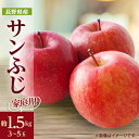 【ふるさと納税】【家庭用】りんごの王様　長野県産 りんご　サンふじ　約1.5kg(3～5玉程度)【配送不可地域：離島】【1574729】