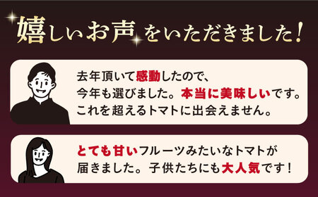 【2025年収穫分先行予約】【2回定期便】【 訳あり 】糖度9度以上！ 大島トマト 特選「ルビーのしずく」約1.2kg＜大島造船所 農産グループ＞ [CCK031]