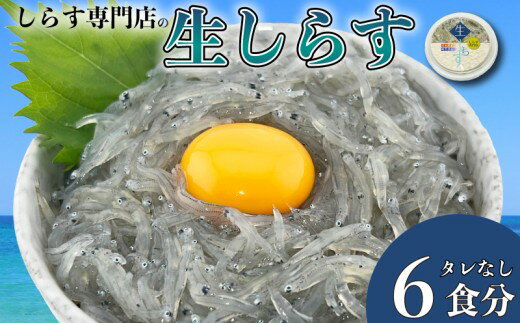 【ふるさと納税】 生しらす 6個セット タレなし 国産 海鮮 魚 シラス 刺身 ご飯 サラダ 海鮮丼 国産しらす ちりめん じゃこ シラス丼 個包装 便利 酒 おつまみ 惣菜 おかず 人気 ランキング 贈答 ギフト 土佐のお刺身 高知県 安芸市