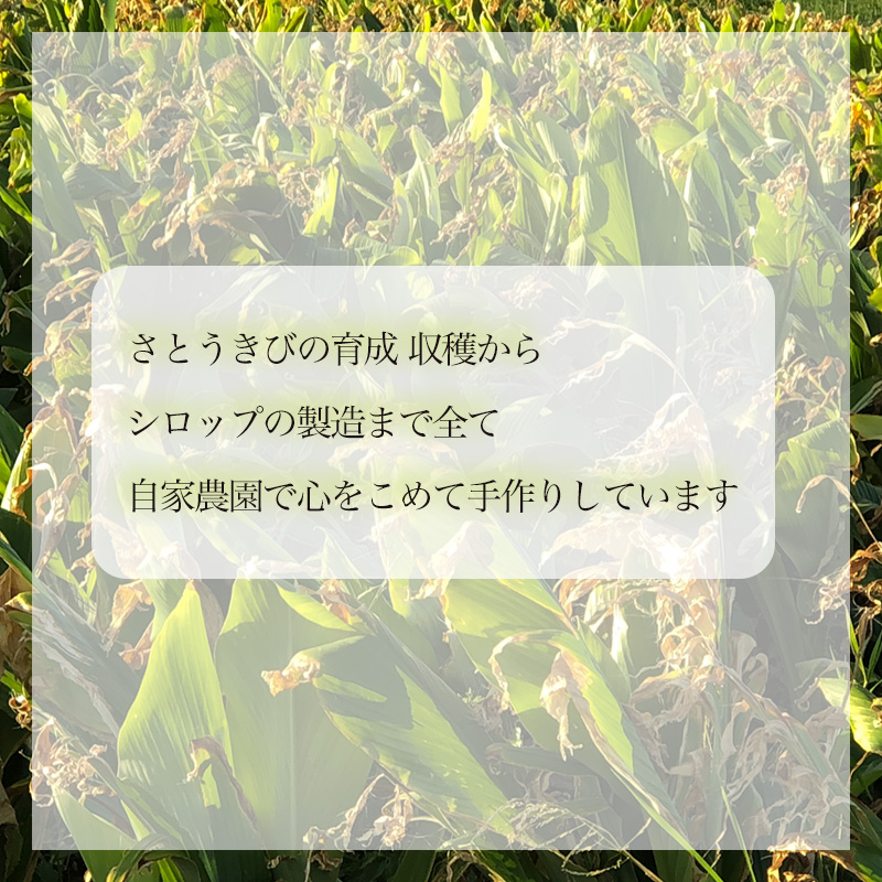 オーガニック 100％ さとうきび シロップ3個 セット（化粧箱入り） 【Bセット】 さとうきび シロップ3個 セット