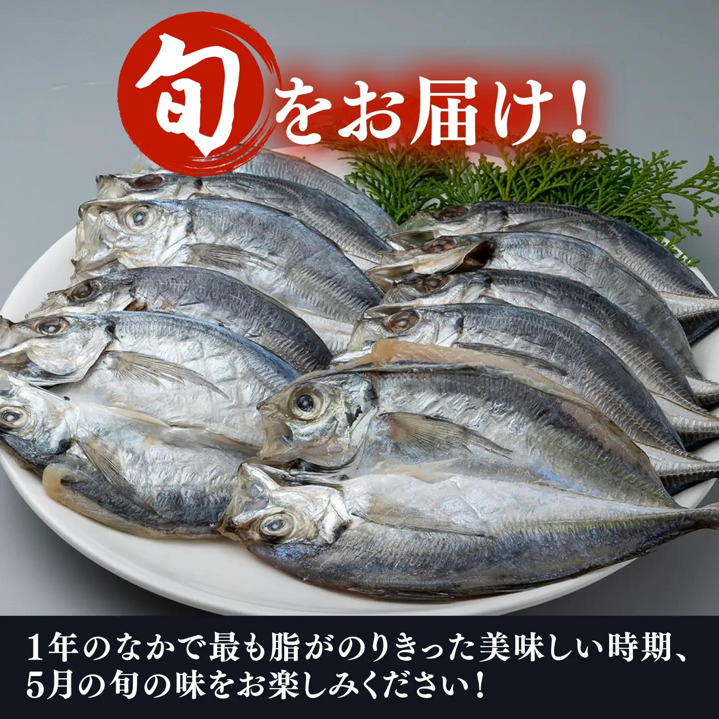 【全3回定期便】対馬 五月 真あじ 一汐干し 10枚 新鮮 アジ 干物 [WAI042]