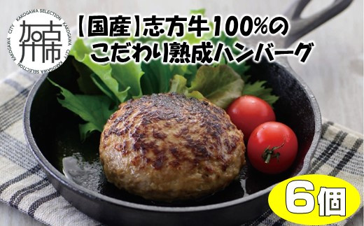 【国産】志方牛100%のこだわり熟成ハンバーグ150g×6個《 ハンバーグ 国産 牛肉 100% 牛 こだわり セット 冷凍 肉 惣菜 お取り寄せ グルメ おかず ギフト 送料無料 》【2401I05941】