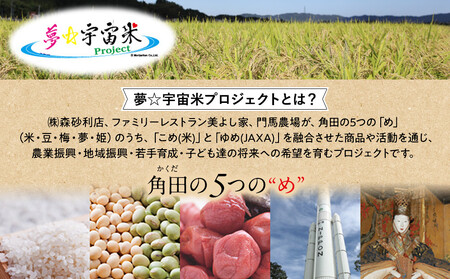 夢☆宇宙米おにぎり 3種類詰め合わせ（9食）【8月上旬より順次発送開始】