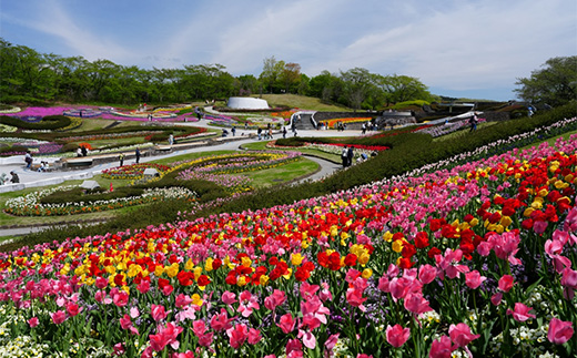 【みちのく杜の湖畔公園】大人1名年間パスポート・駐車場１台分年間パスポート　【04324-0399】