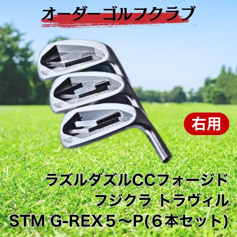 ゴルフ ゴルフクラブ ラズルダズルCCフォージド アイアンセット フジクラ トラヴィル オーダーメイド アイズファクトリー｜F38