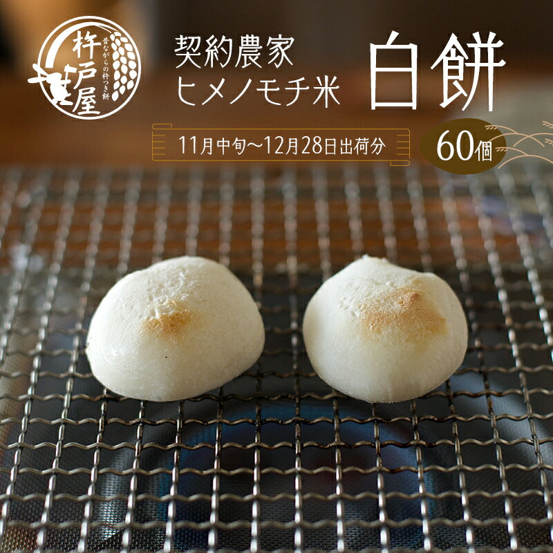 【ふるさと納税】白餅 60個（1袋10個入り保存料無添加 真空パック）杵戸屋 きねとや（2025年11月中旬～12月28日出荷分） 年末 冬 ヒメノモチ米 契約農家 手作り 焼き餅 お雑煮 ぜんざい 鍋物 　お届け：2025年11月中旬～2025年12月28日