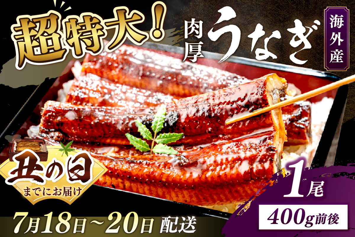 【7月18～20日配送】超特大！ふっくら肉厚！うなぎ蒲焼 1尾 400g前後　YK00402_01