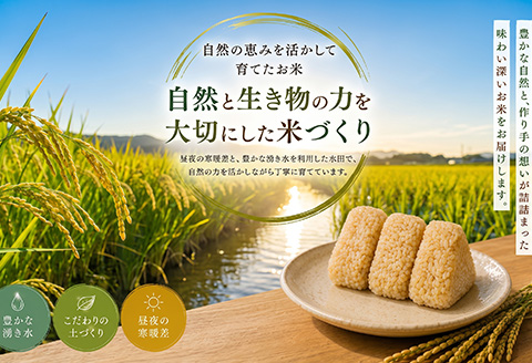 一粒田が作る上場産コシヒカリ 5kg (玄米) コメ お米 ごはん こしひかり