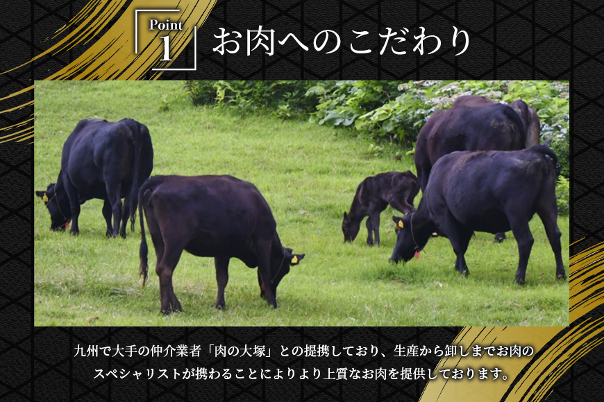 肉 長崎和牛 サーロイン ステーキ 250g×1枚 牛肉 極上 赤身 国産牛肉 バーベキュー 冷凍 / サンクスラボ / 長崎県 雲仙市