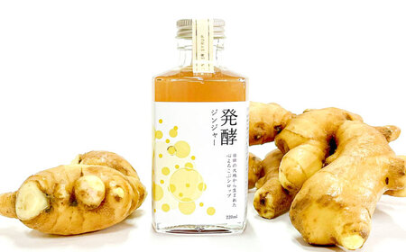 ピリっと生姜にスパイスの甘い香り！身体にも心にも優しい発酵ジンジャーシロップ！発酵ジンジャー（1本）スパイス 炭酸 シロップ[ARDA008]