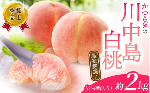 桃 【2025年先行予約】川中島白桃　約2kg 6～8個入【2025年7月末頃から順次発送】【秀品】こだわり農家厳選 桃 モモ フルーツ 果物 くだもの 人気 産地直送 厳選 甘い 予約 もも フルーツ王国【kgr011】