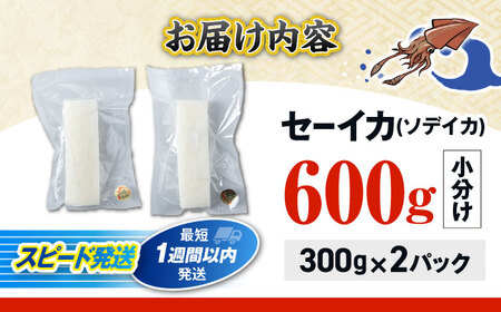 セーイカ (そでいか) 0.6kg (300g ×2パック) 沖縄市 / 沖縄市漁業協同組合 パヤオ直売店[BCDZ002]