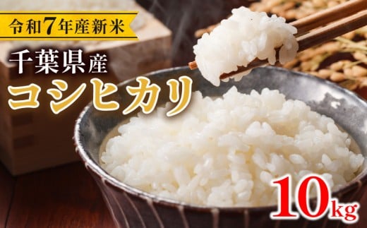 令和7年 新米 コシヒカリ10kg こしひかり 精米 新米 コメ お米 おこめ こめ ライス 白米 ご飯 ごはん 新米10kg R7米 R7 7年産 令和7年産米 kome 2025 国産 千葉県産 備蓄 防災 家庭用 産地直送 送料無料 お弁当 おにぎり 千葉県 旭市 株式会社いてつ itt001