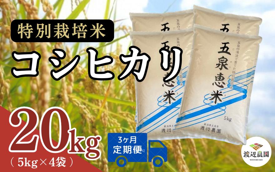 
                  【令和8年産先行予約】〈3回定期便〉渡辺農園の特別栽培米コシヒカリ 20kg(5kg×4袋) 新潟県 五泉市 渡辺農園
                
