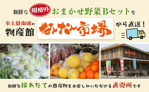 【規格外】本土最南端から 旬のおまかせ野菜セットB 12品目以上 NI-6｜ 旬 野菜 やさい 果物 くだもの 産地直送 農産物 冷蔵 鹿児島県 南大隅町産 詰合せ おまかせ 家庭用 訳あり なんたん