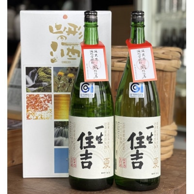 季節限定品「一生住吉　夏」2本セット【1226472】