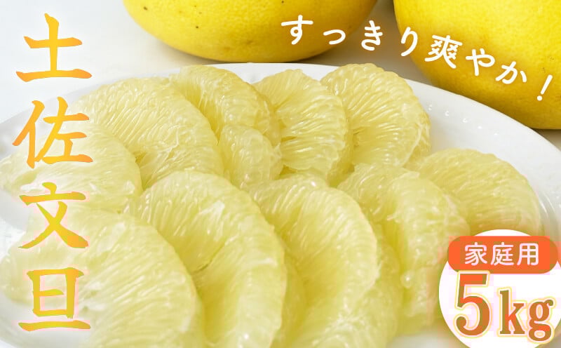 
            【2026年2月中旬より順次発送】【訳あり】 文旦 家庭用 5kg 高知 L ～ 2L サイズ 期間限定 早期予約 受付中 限定 旬 みかん 土佐文旦 柑橘 果物 フルーツ NF005-3x
          