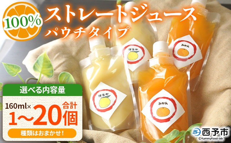 
                  ＜100％ストレートジュース パウチタイプ160ml 合計1～20個＞『1か月以内に順次発送予定』選べる 内容量 種類はおまかせ 飲み比べ 果物 くだもの フルーツ 柑橘類 みかん 蜜柑 ミカン みかんジュース 飲料 渡江から一歩を踏み出す会 愛媛県 西予市【常温】
                