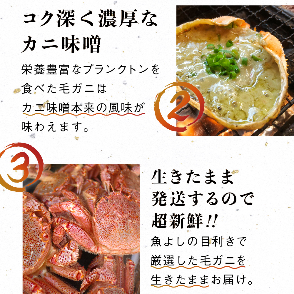【令和8年発送先行予約】【3回定期便】三陸産！活毛ガニ 400g相当×1杯【08】【2026年2月～4月発送】