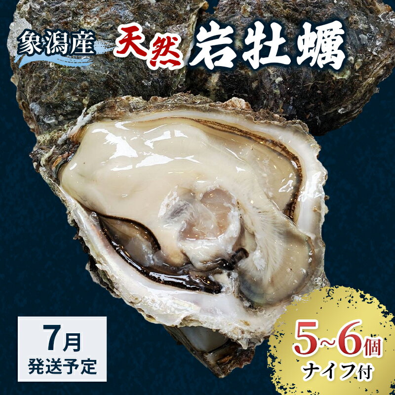 【ふるさと納税】【 先行予約 7月上旬～下旬発送予定】にかほ市産 岩牡蠣 5～6個 ナイフ付【 牡蠣 夏牡蠣 かき 象潟 魚介類 加熱用 海鮮 海産物 海の幸 】　お届け：2026年7月1日～2026年8月10日※状況によって希望通りお届けできない場合もあります。